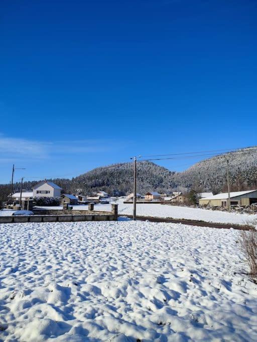 Gite Cosy Avec Avec Jardin Et Parking Privatifs - Hautes Vosges Saint-Amé Exterior foto