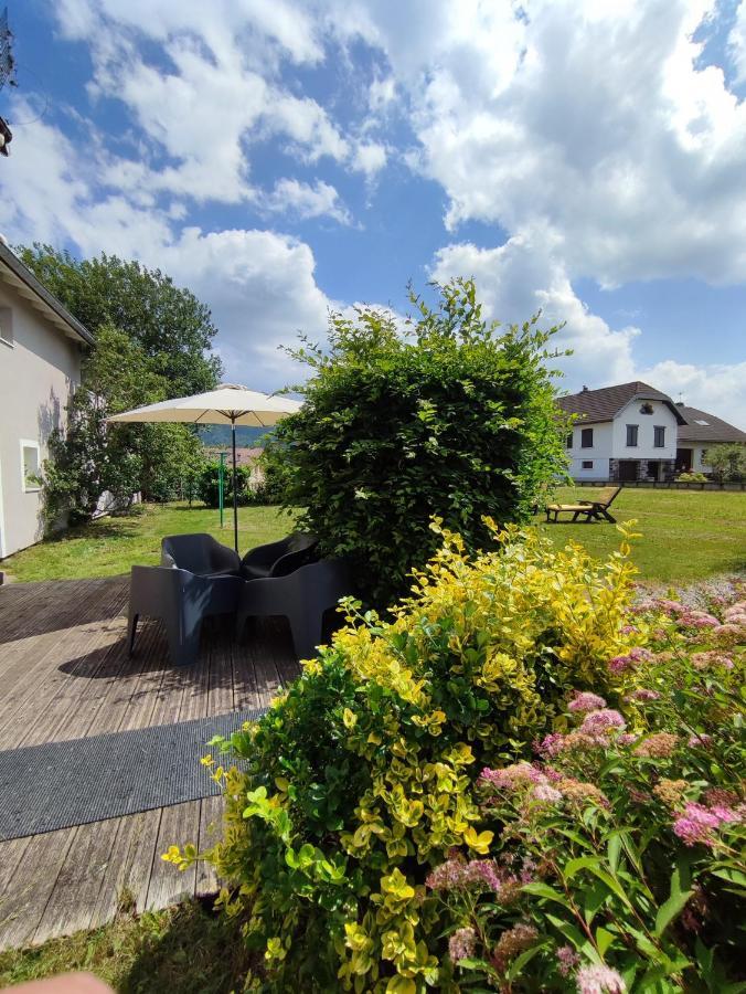 Gite Cosy Avec Avec Jardin Et Parking Privatifs - Hautes Vosges Saint-Amé Exterior foto
