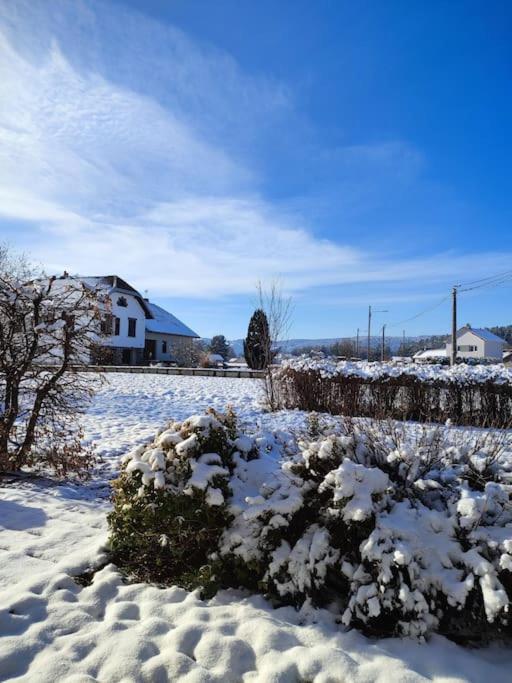 Gite Cosy Avec Avec Jardin Et Parking Privatifs - Hautes Vosges Saint-Amé Exterior foto